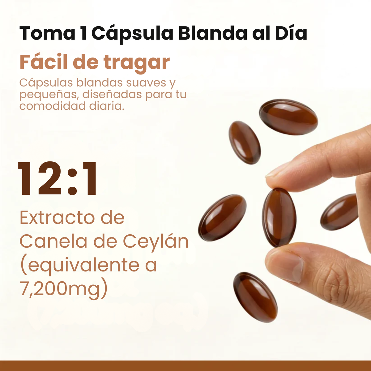 Canela de Ceylán Equivalente a 7200mg con Aceite MCT